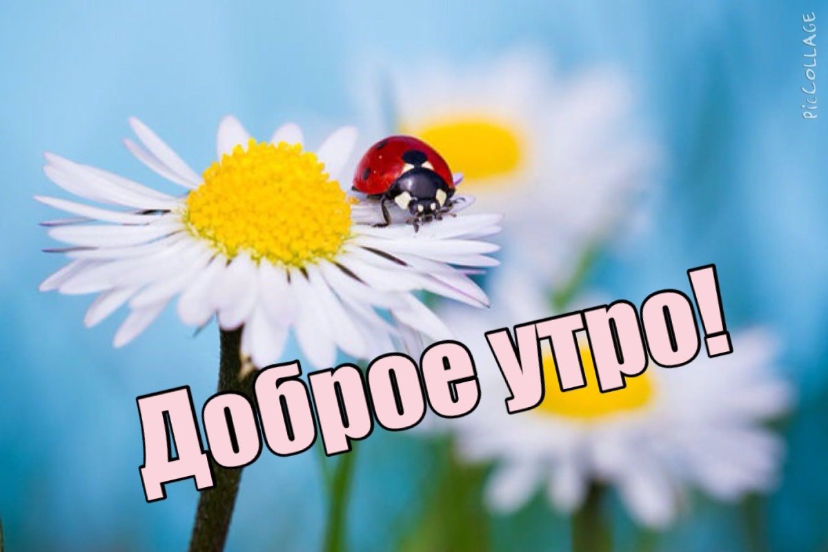 Теплая погода