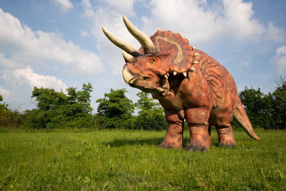 Динозавры цератопсы