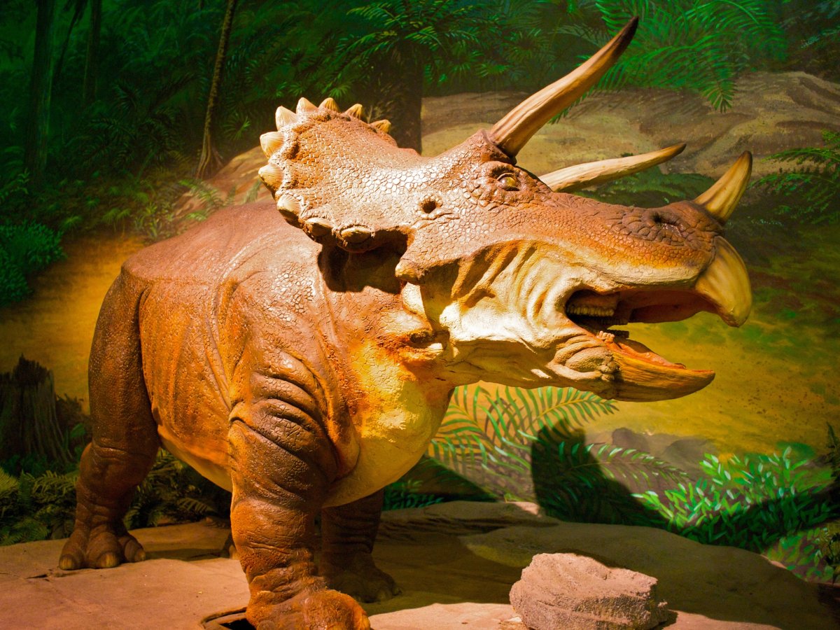 Ящер Трицератопс