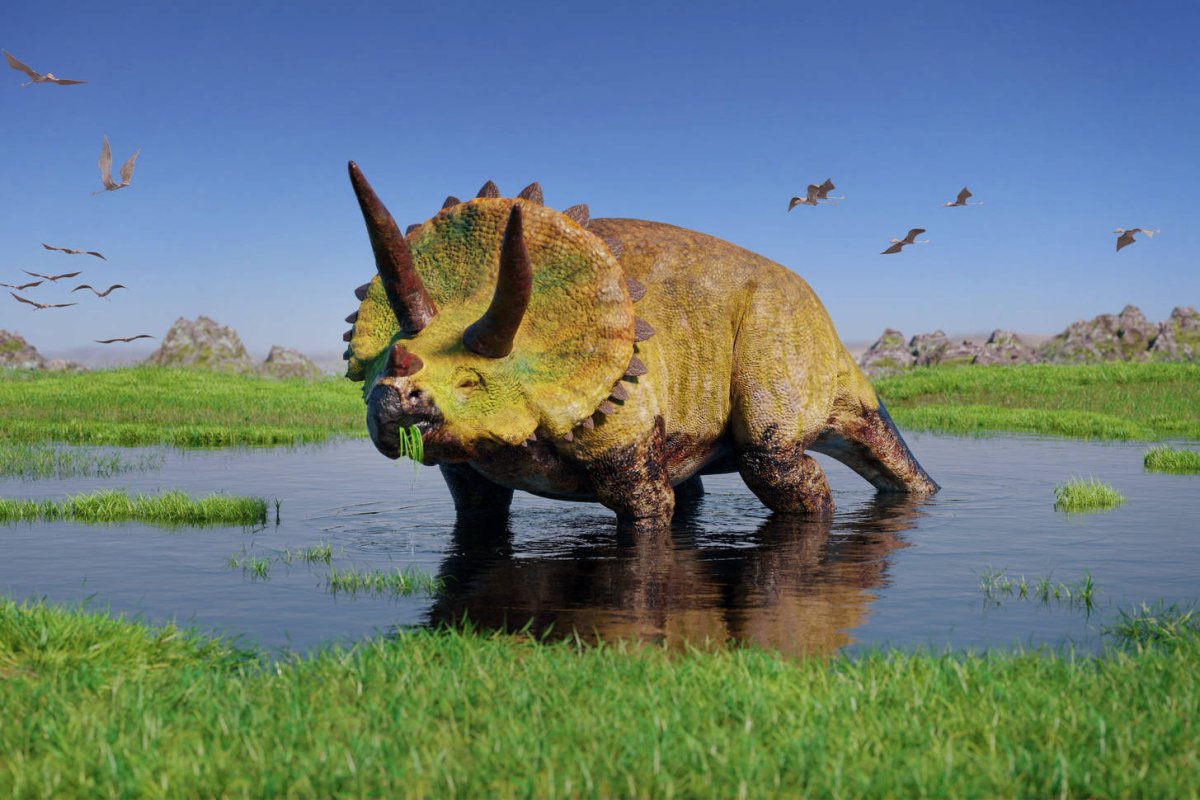 Цератопс Торозавр