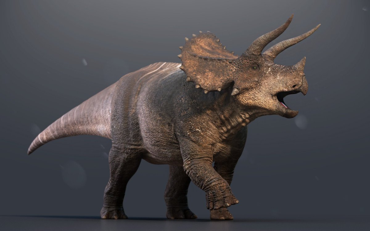 Эволюция Трицератопса