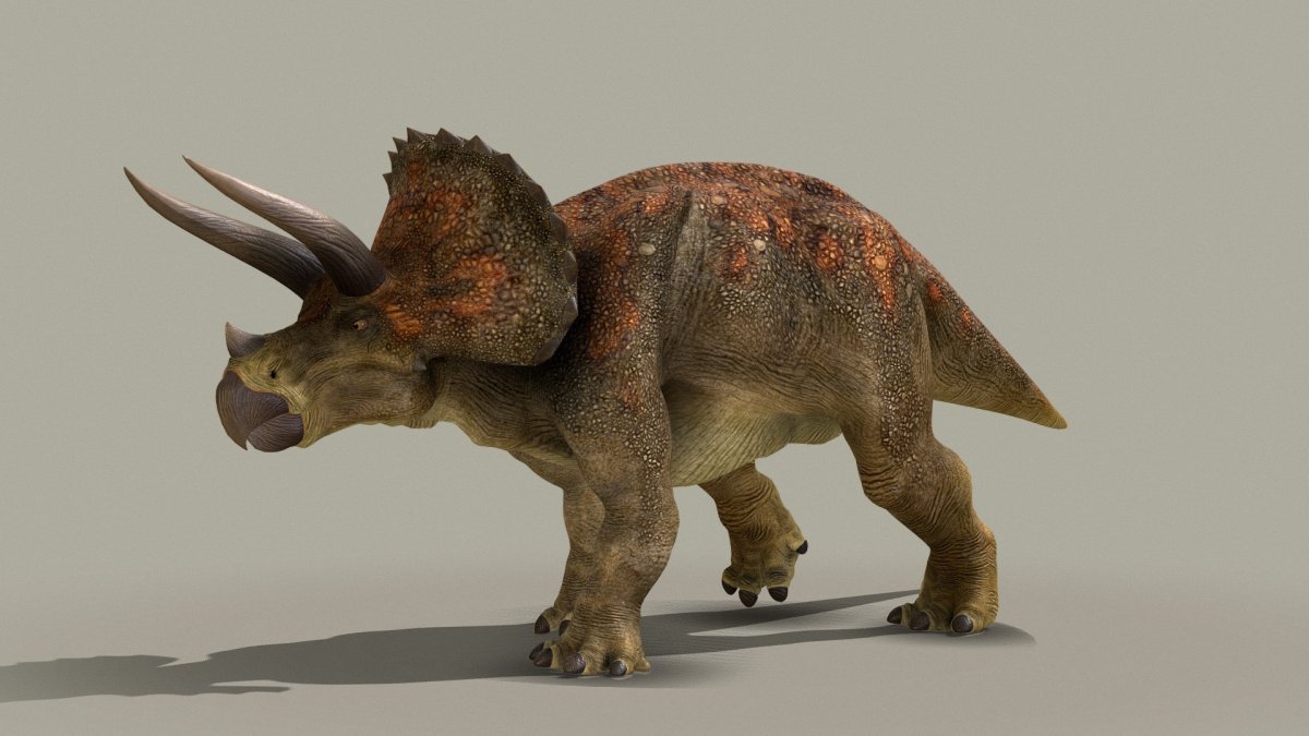 Triceratops horridus