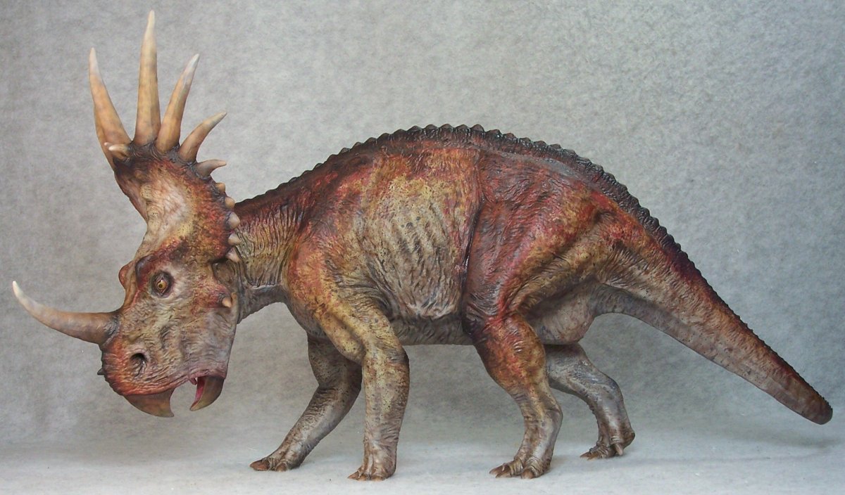 Styracosaurus albertensis