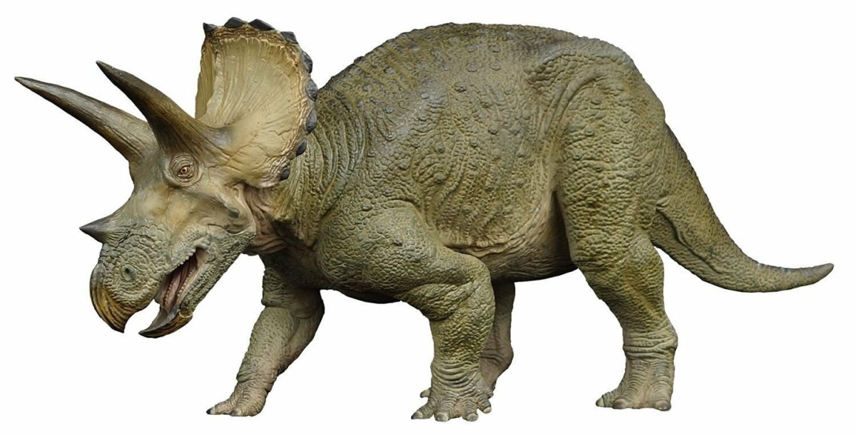 Динозавр Трицератопс на белом фоне