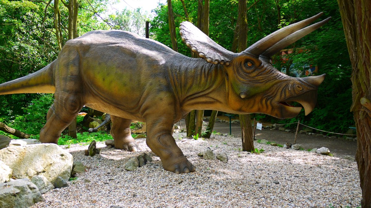 Динопарк Трицератопс