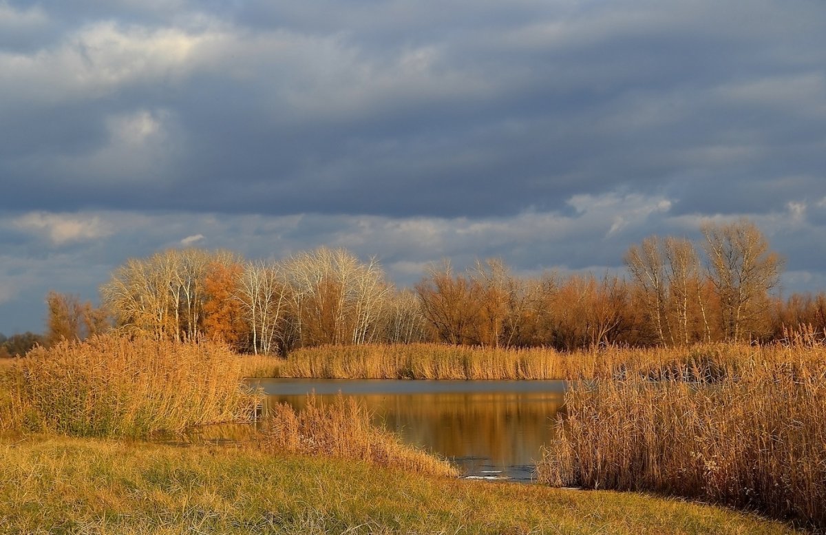 Уж небо осенью дышало картина