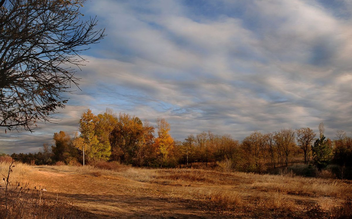 Стоял ноябрь уж у двора и небо осенью дышало