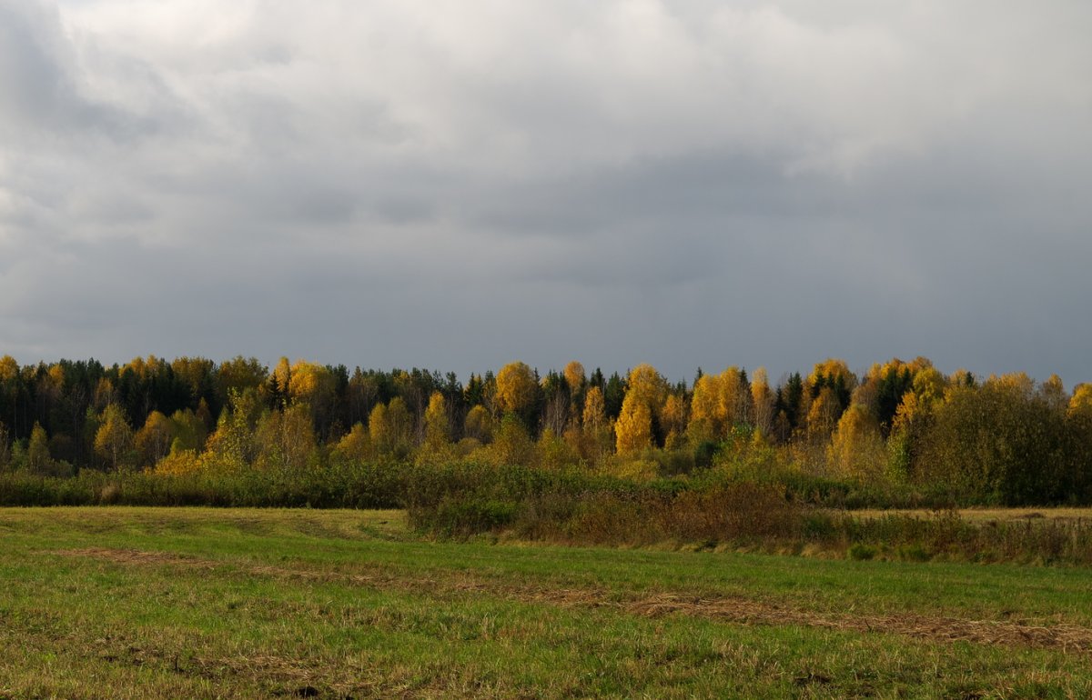 Уж небо осенью дышало