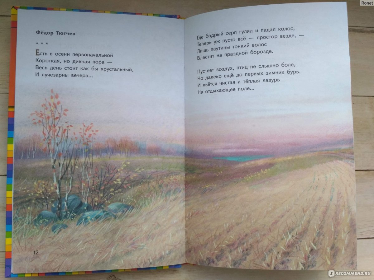 Фото Вязники природа