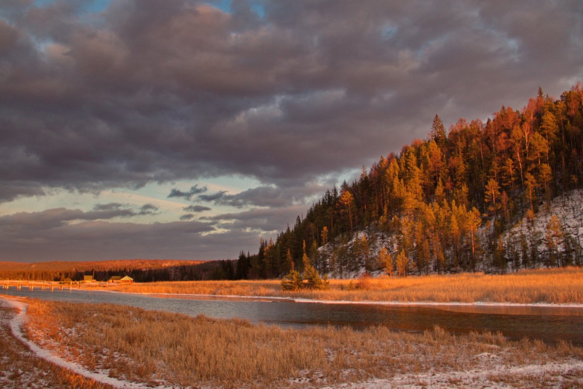 Уж реже солнышко блистало короче становился день