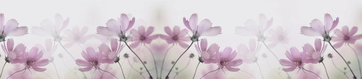 Фон Минимализм