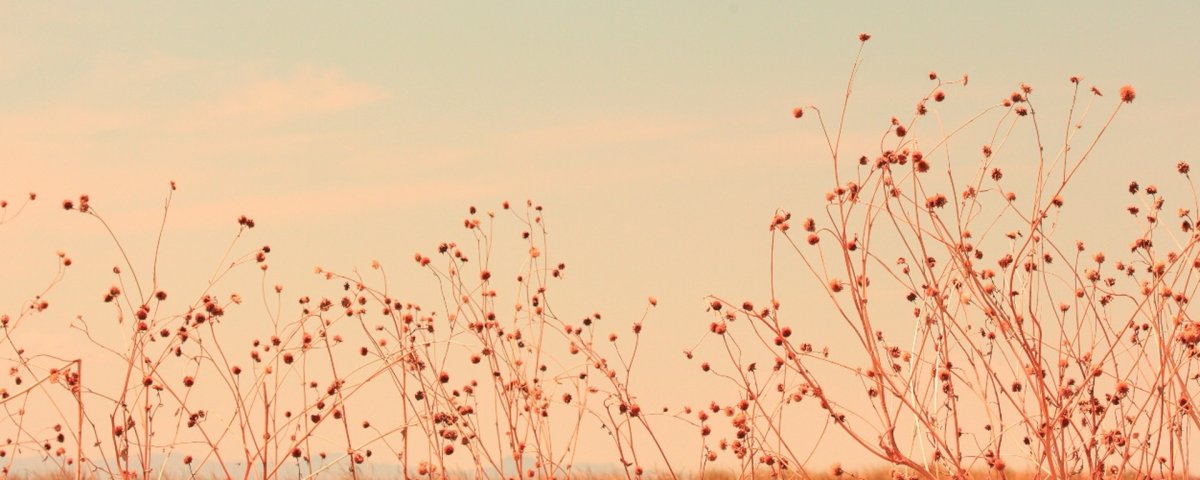 Арты пейзажи