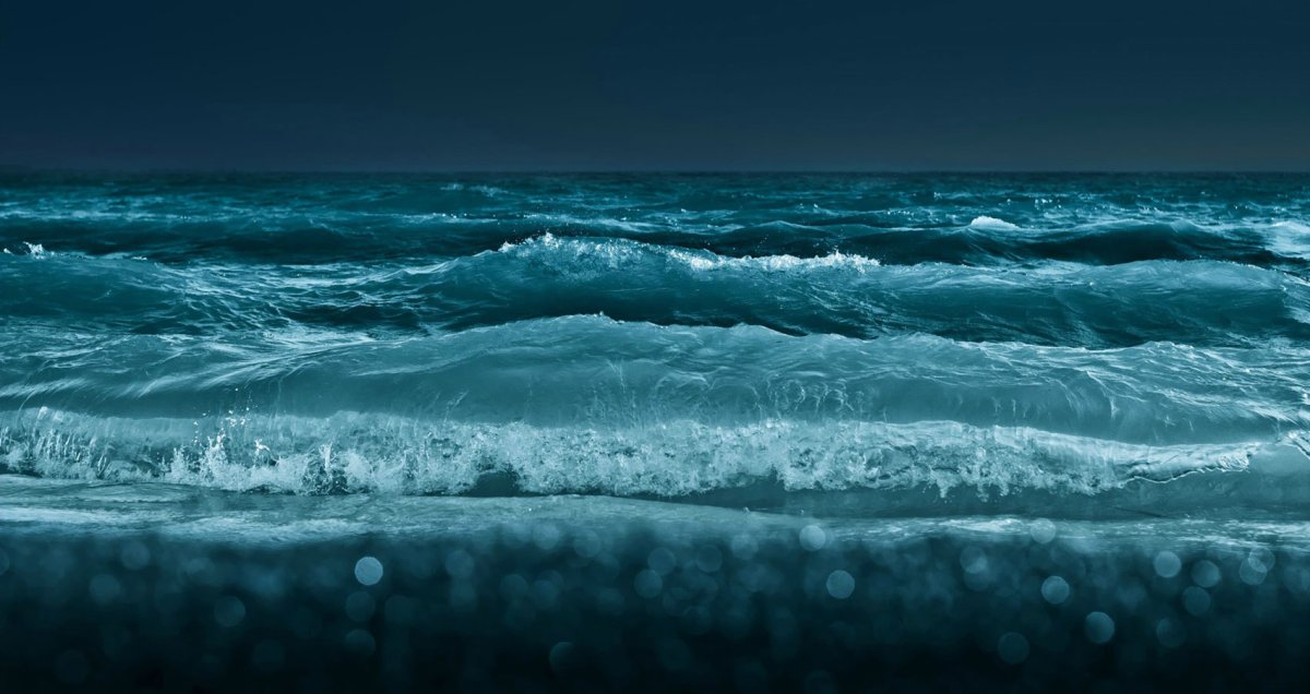 Полоса из цветов