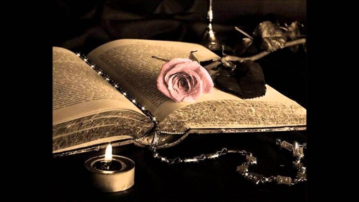 Гифки книги