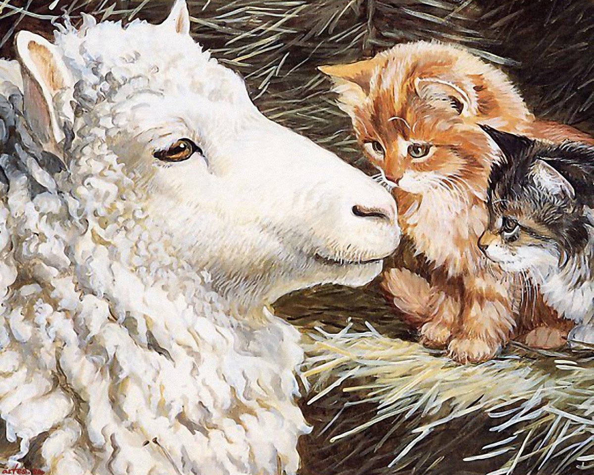 Persis Clayton Weirs олени