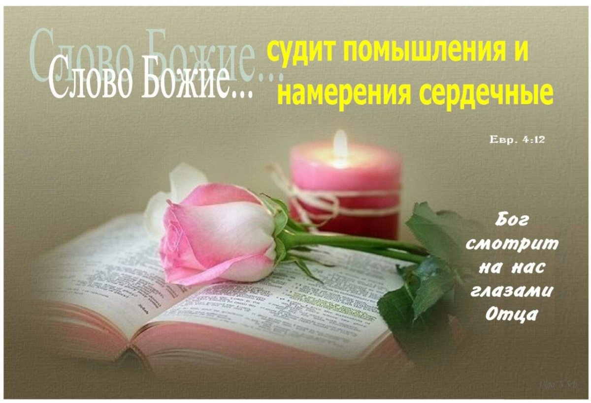 Открытка нежного вечера