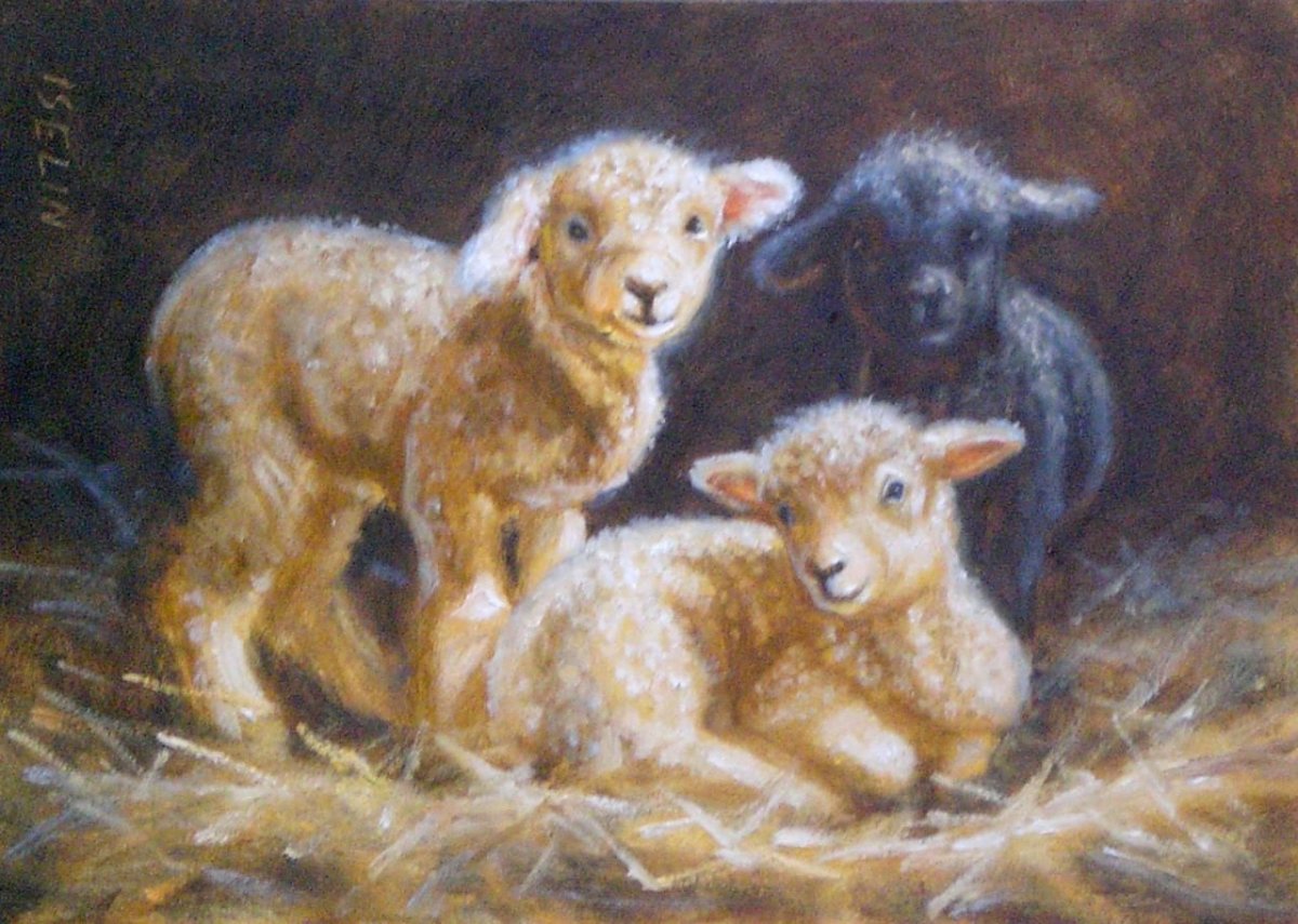 Ягненок картина