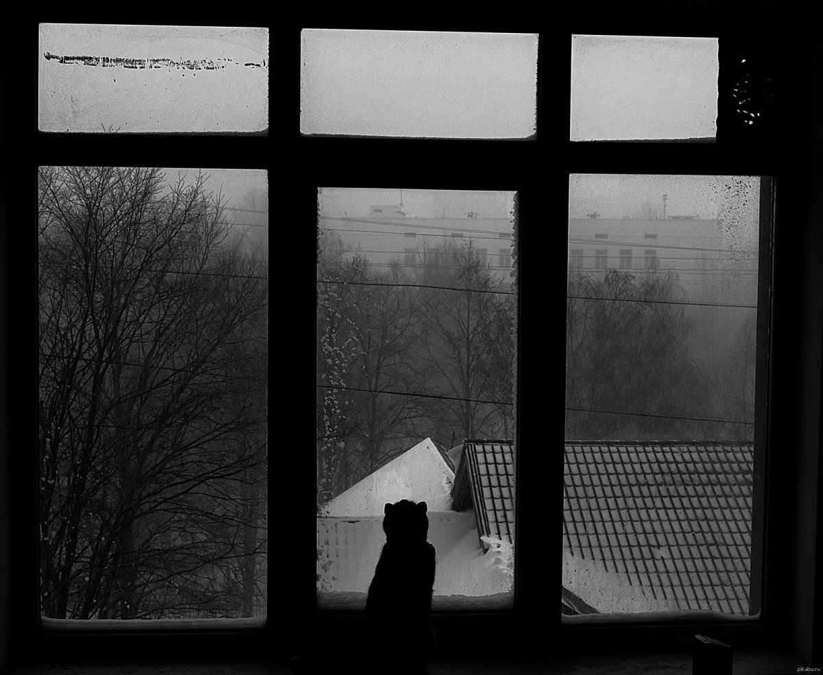 Метель за окном