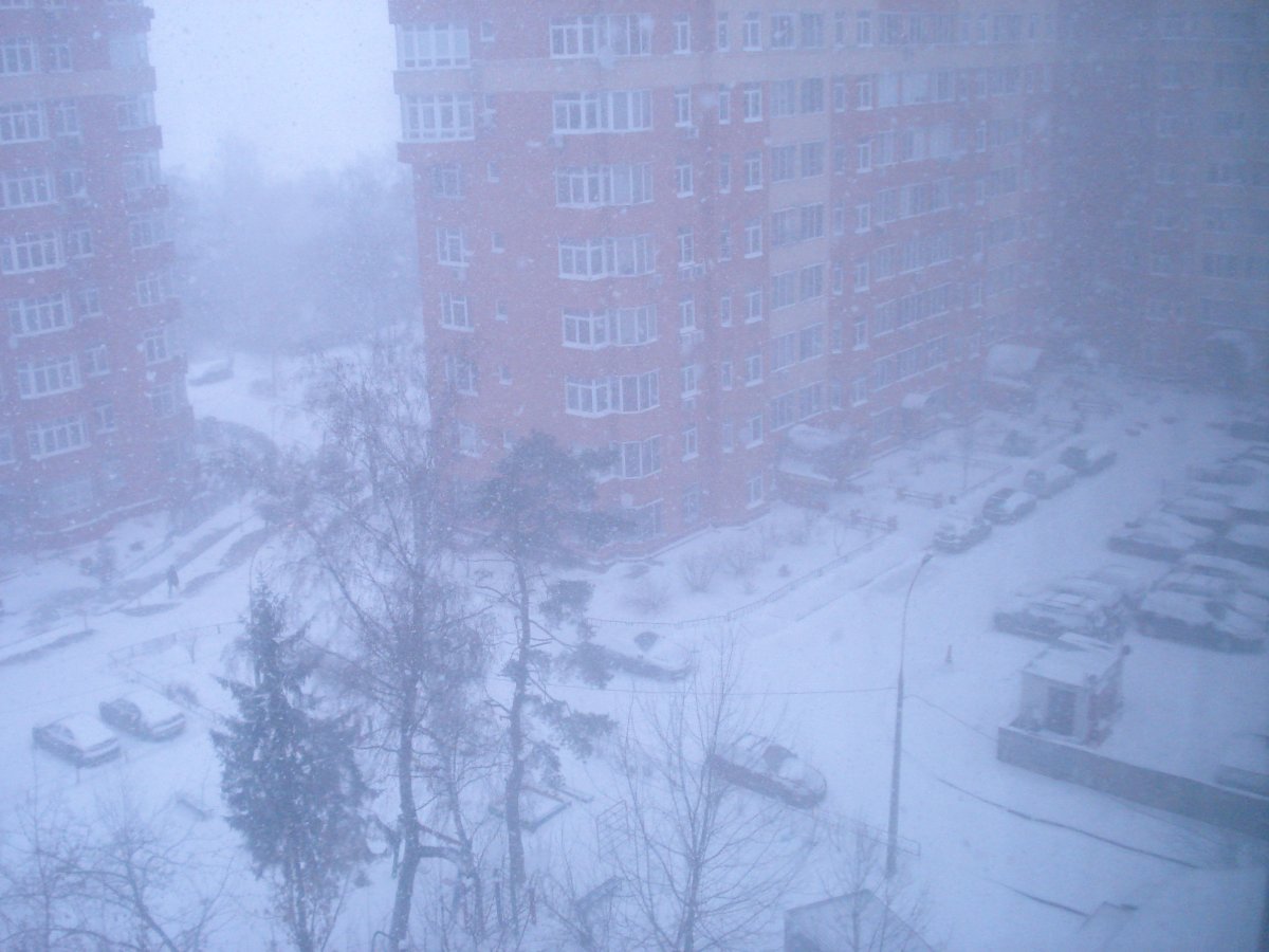 Зимний вид из окна