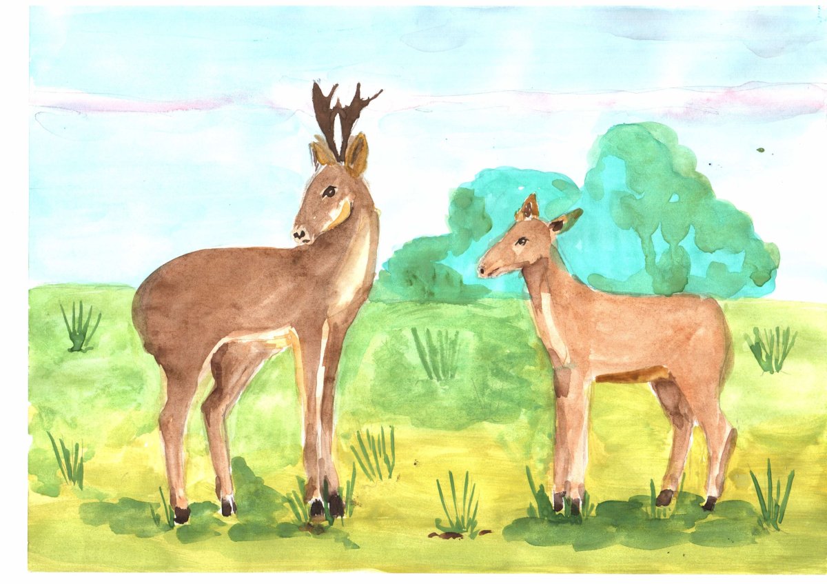 Как нарисовать двух косулят только что рождённых