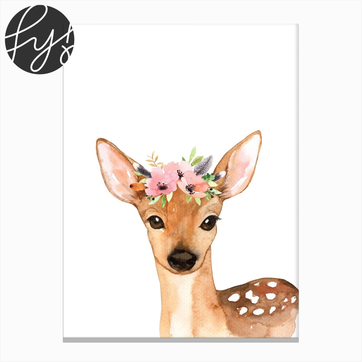 Европейская косуля на белом фоне