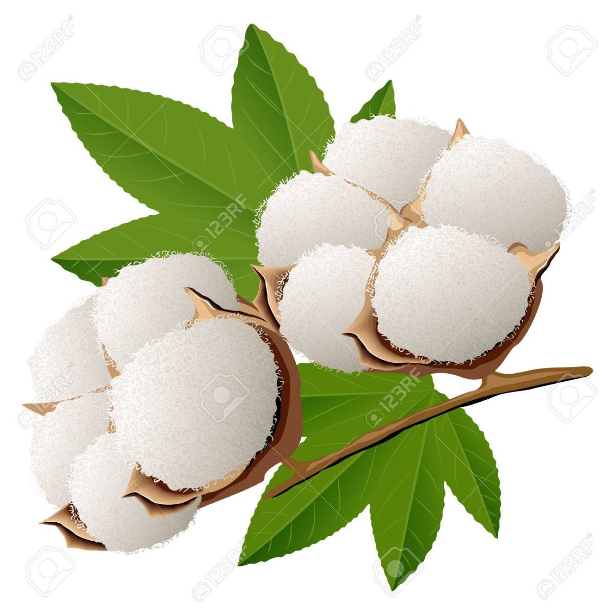 Хлопок картинка для детей