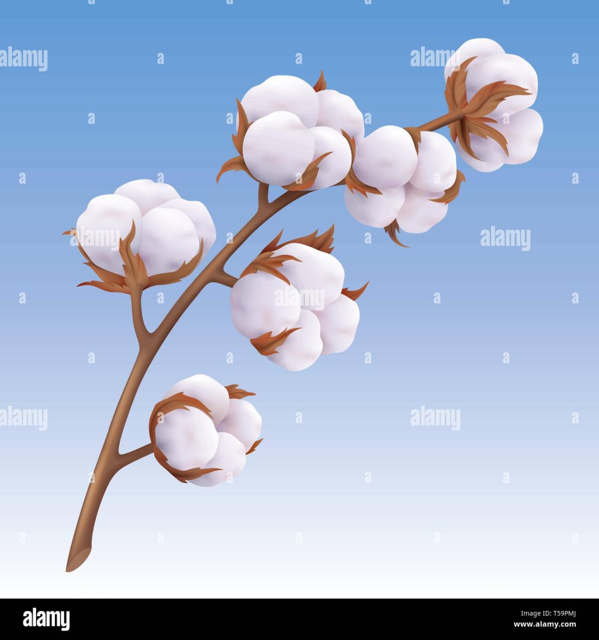 Ребенок с веточкой хлопка