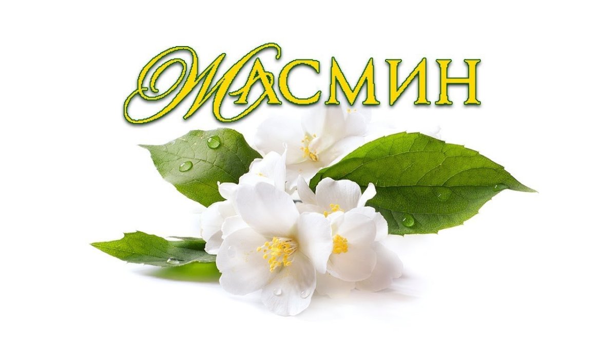 Цветы с имени Жасмин