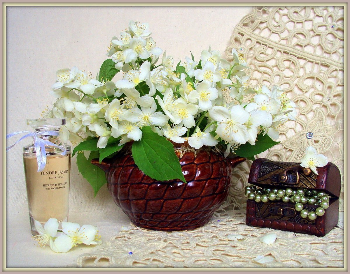 Жасмин букет на день рождения