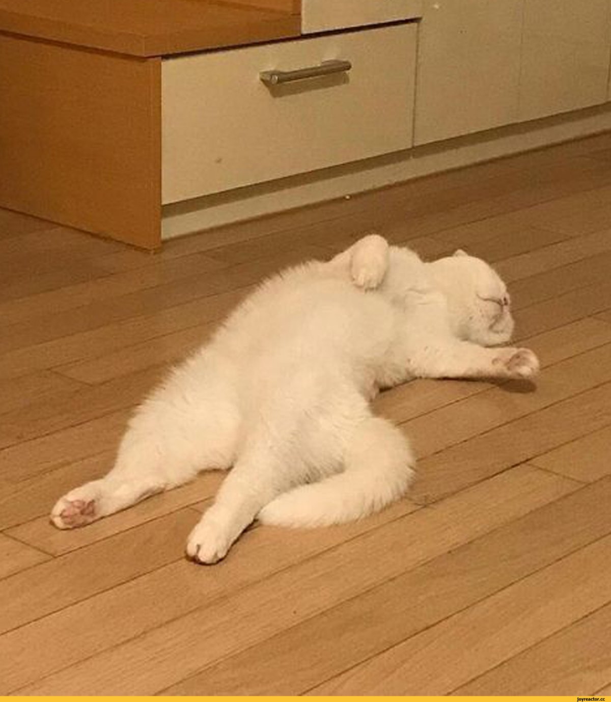 Усталость на работе юмор