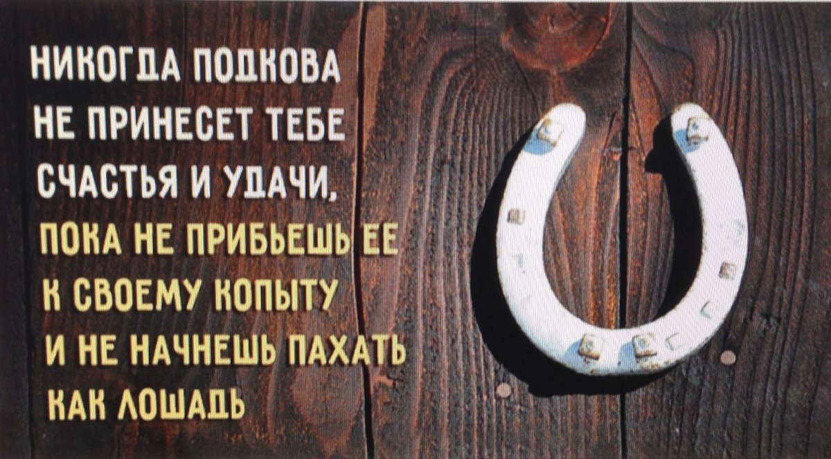 Никогда подкова не принесет тебе счастья