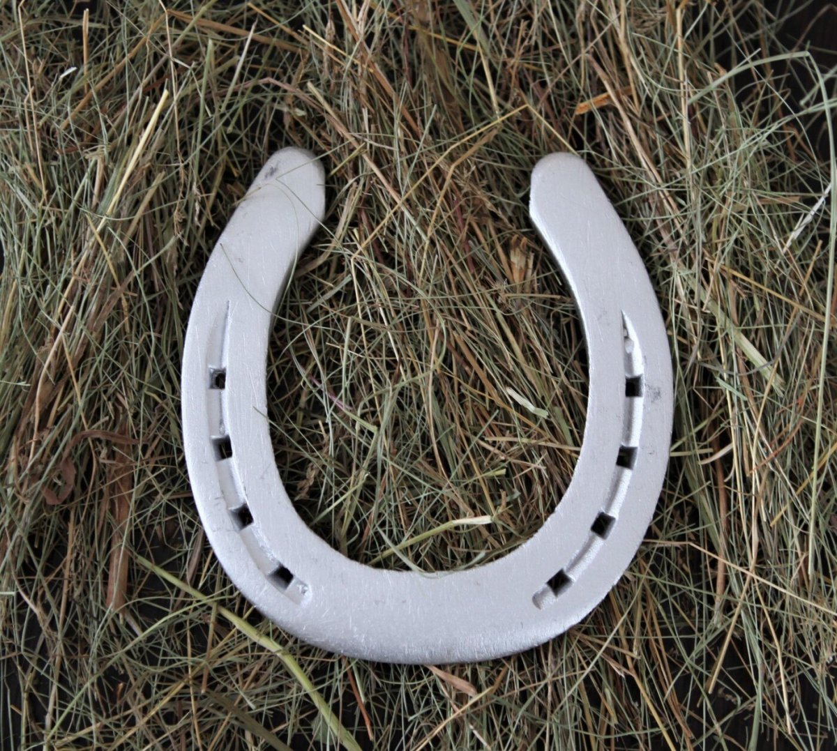 Фото подковы на счастье