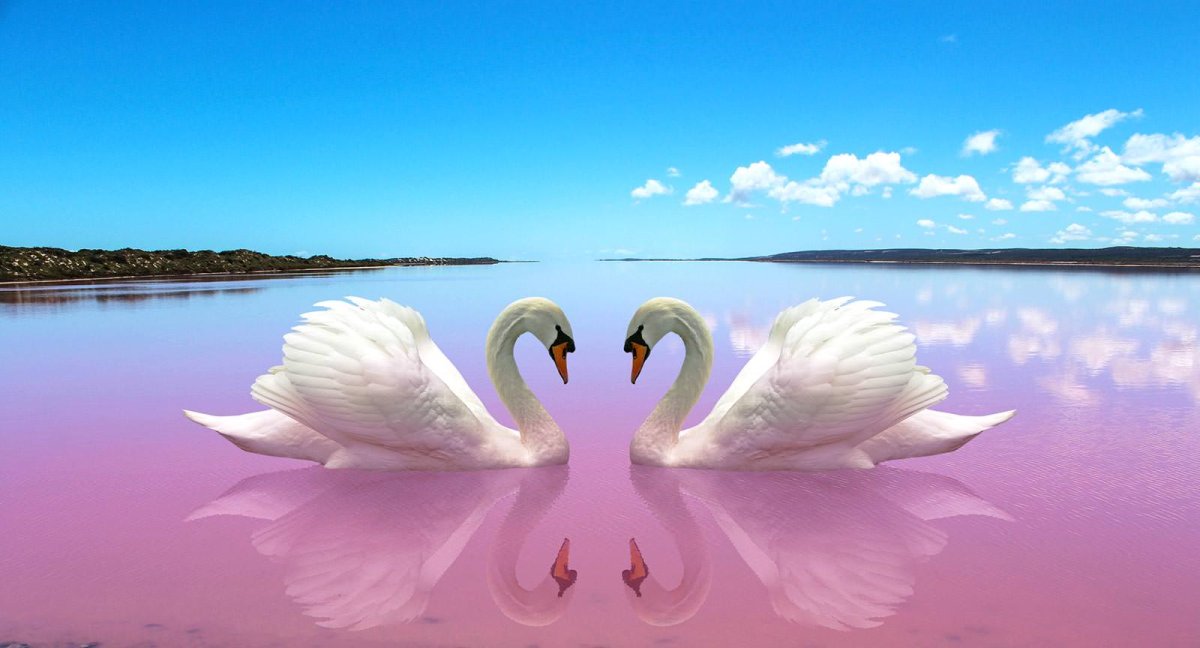 Алмазная мозаика Фламинго