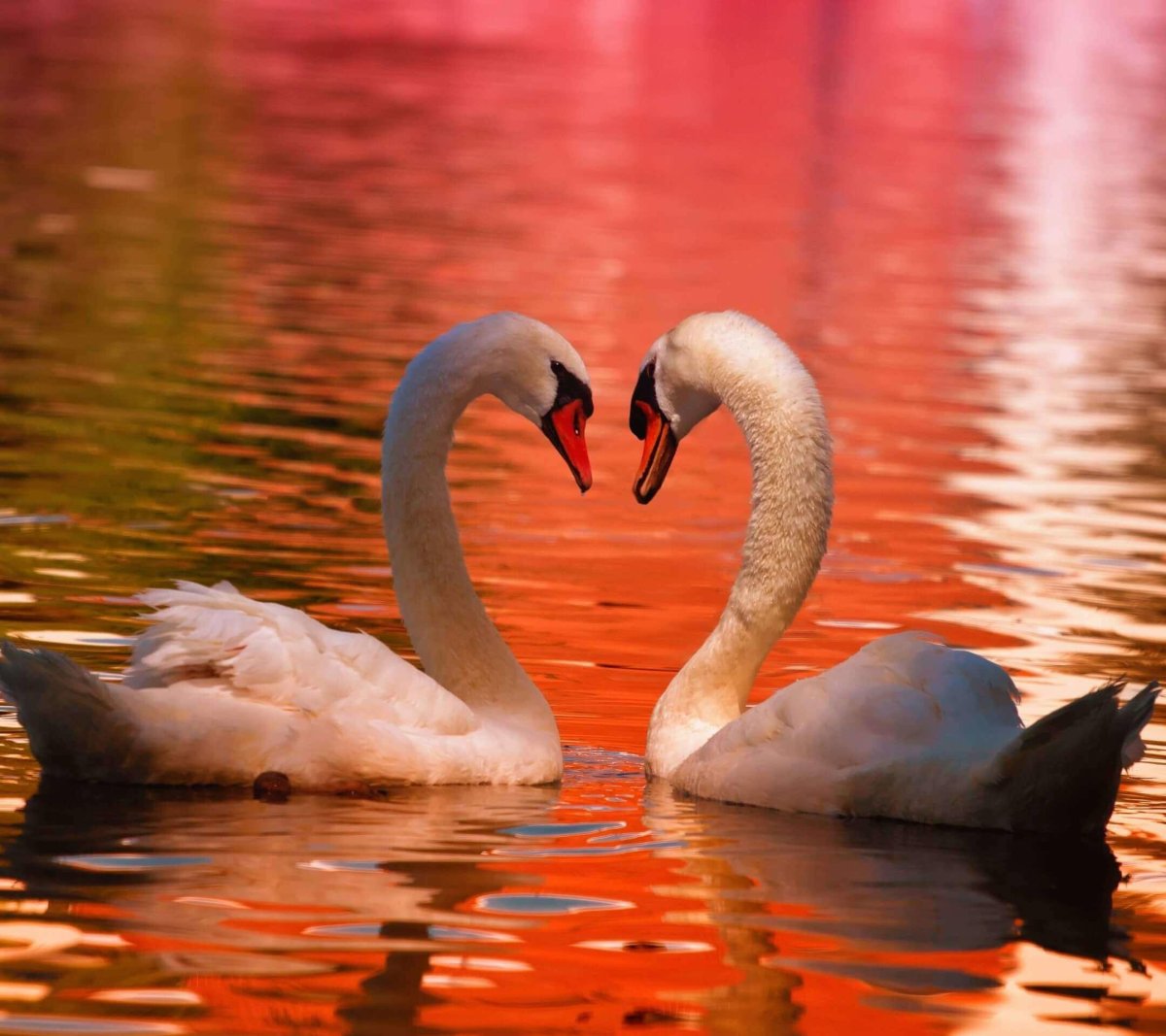 Осенний талисман