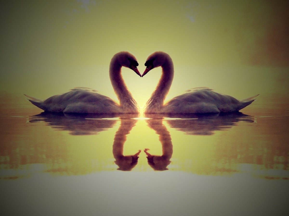 Дерево с сердечками арт