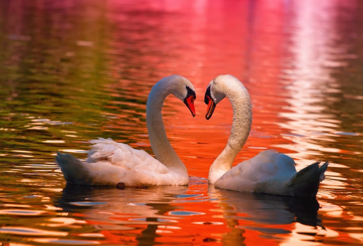 Притягивает любовь