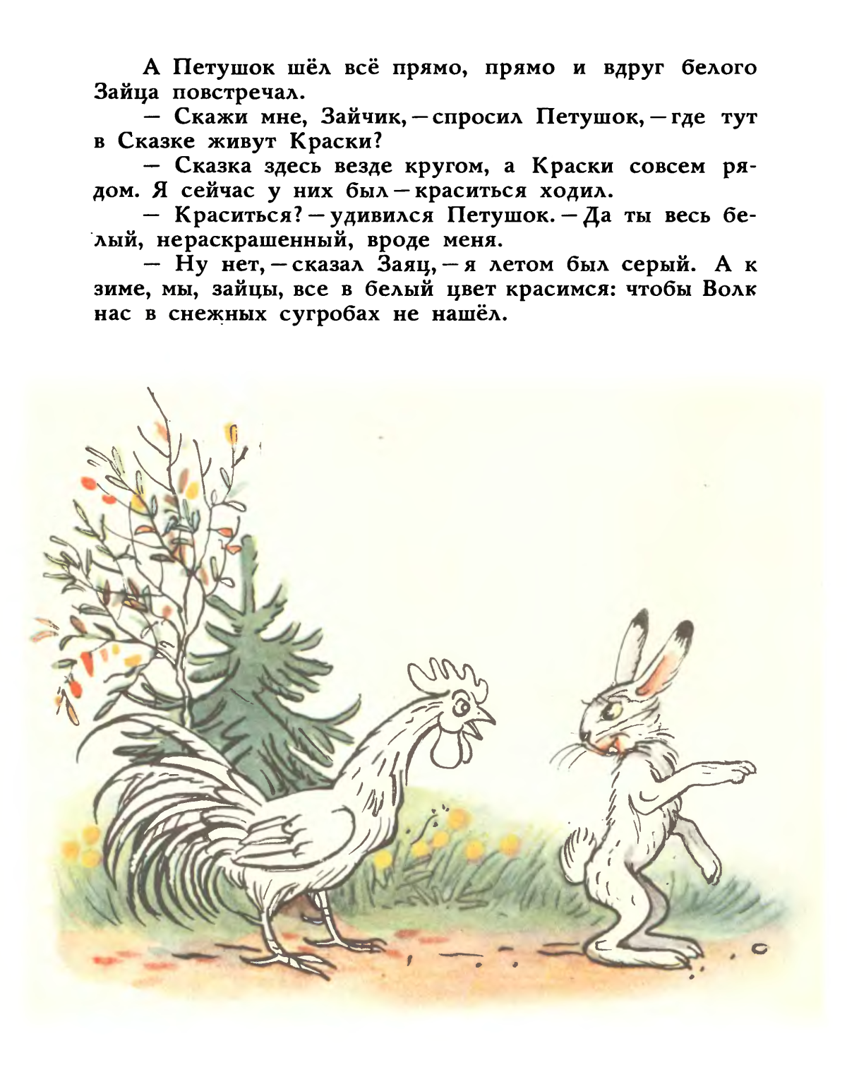 Сказки Сутеева живые грибы