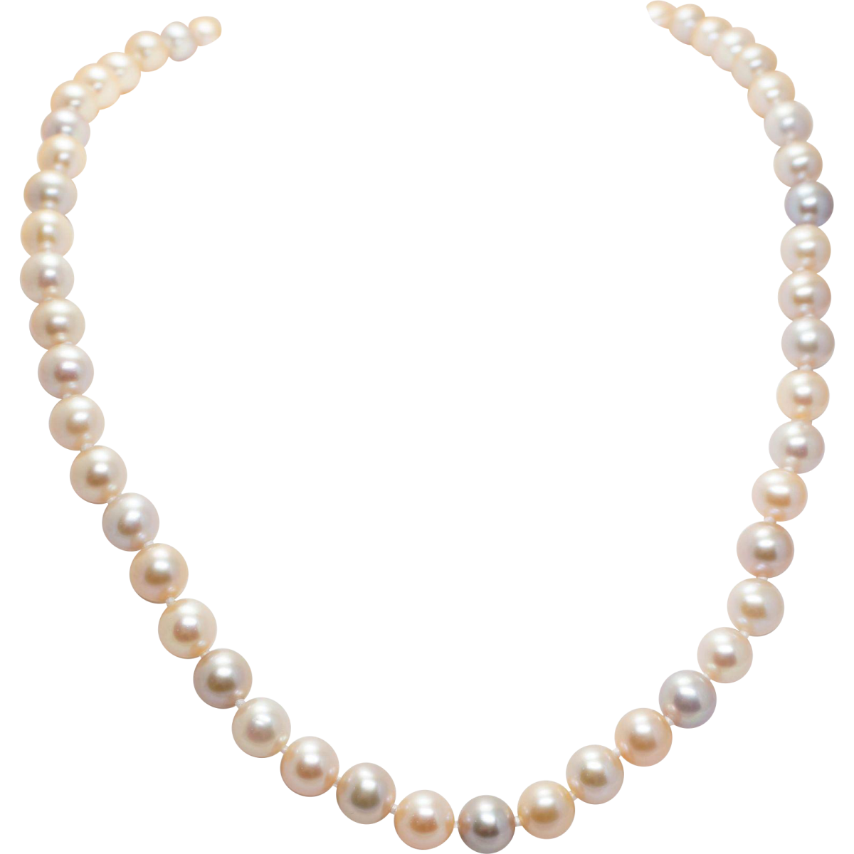 Бусы жемчуг на прозрачном фоне