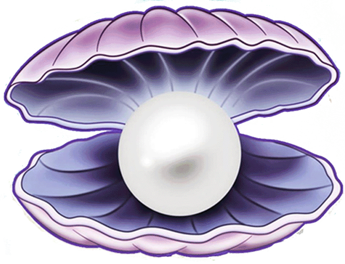 Раскрывающаяся Ракушка с жемчужиной