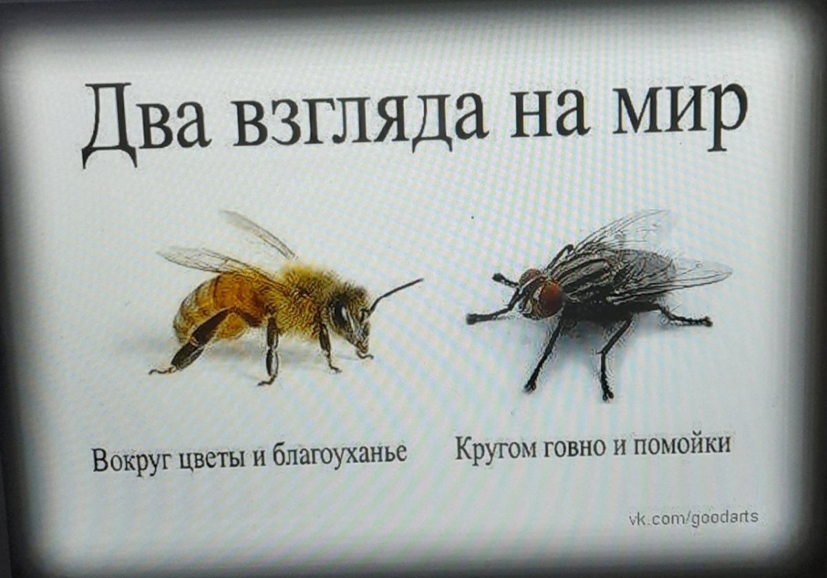 Уставшая пчела