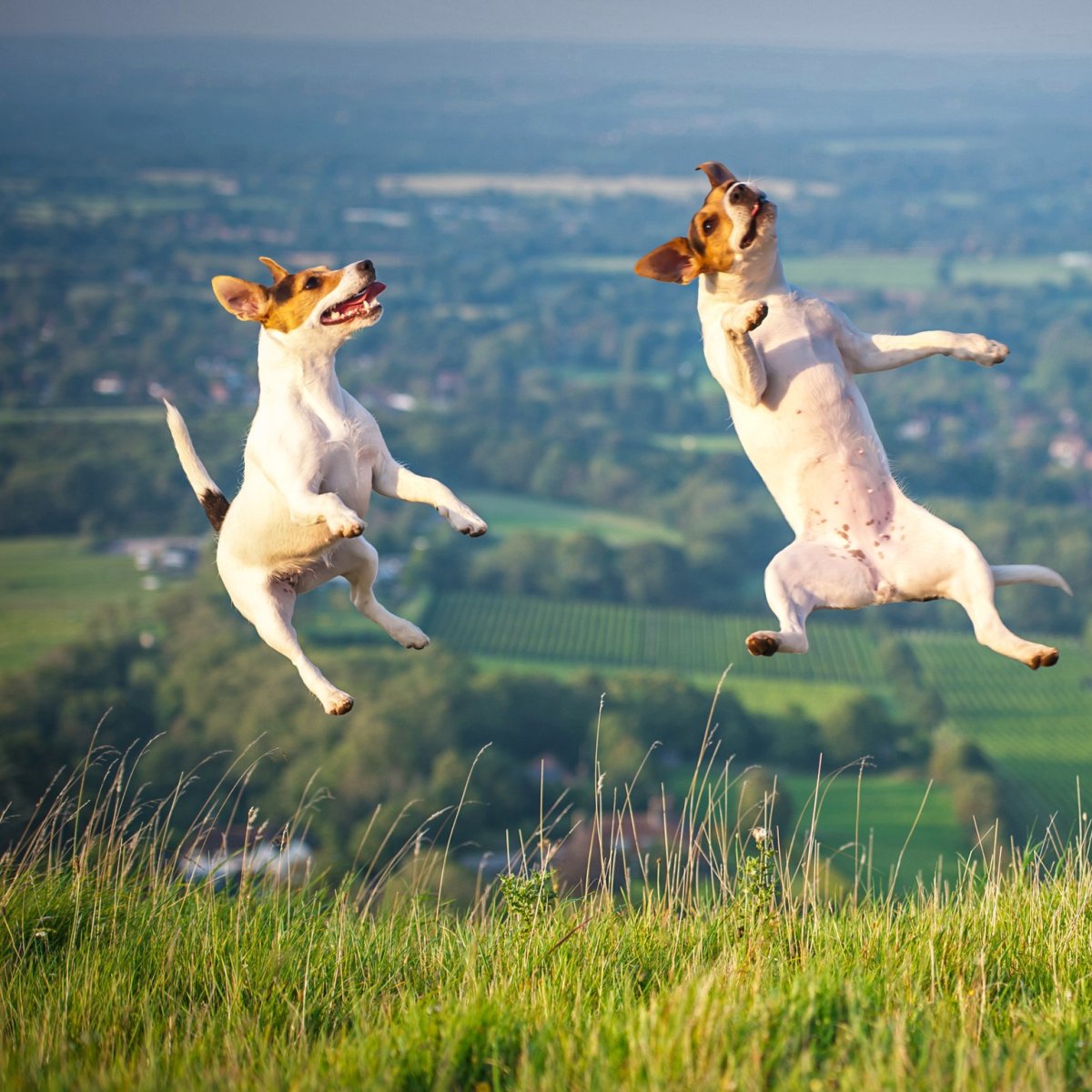 Ура пятница фото