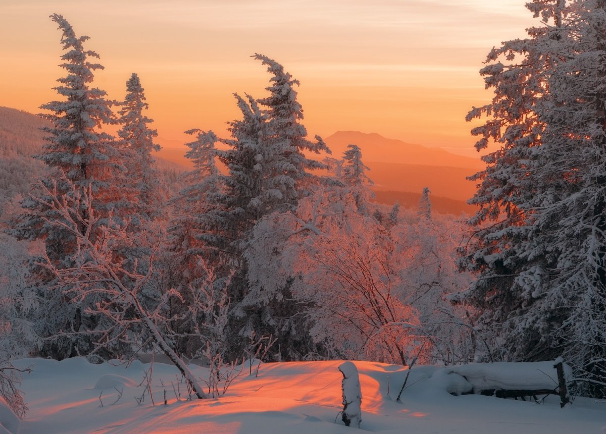 Зимний пейзаж