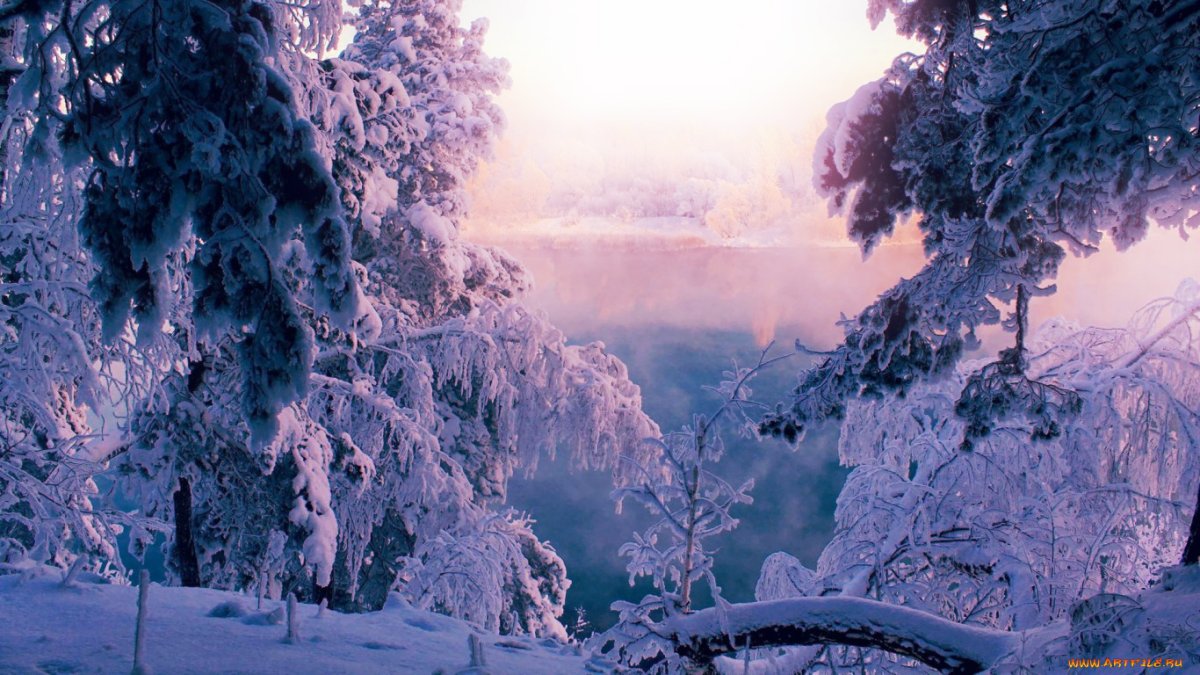 Зимний пейзаж Эстетика