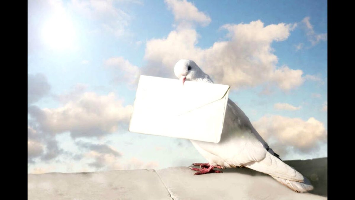 Голубь с письмом в клюве