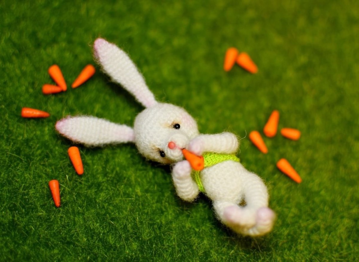 Кролик с морковкой