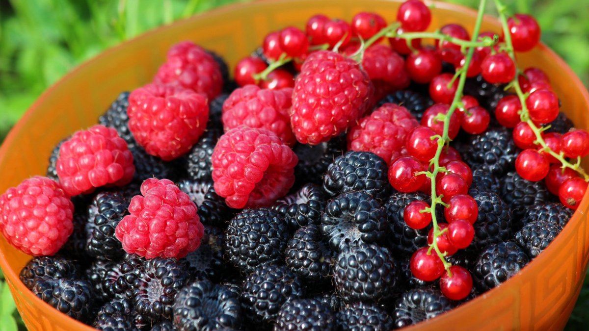 Ягодные фантазии