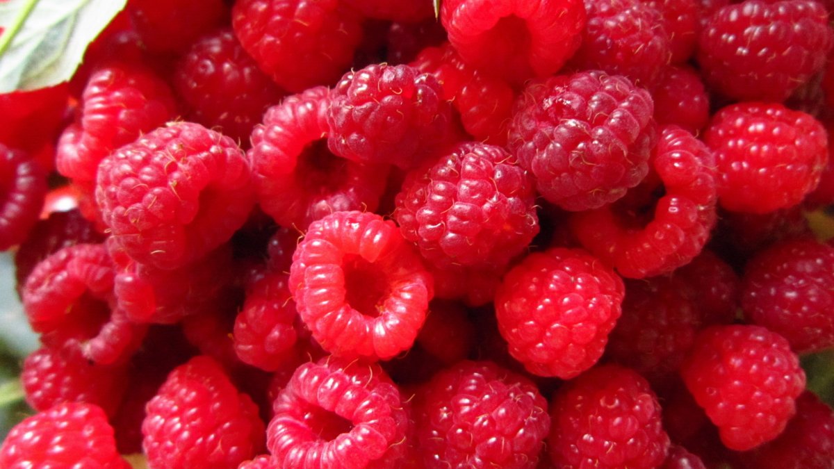 Ягоды вишня малина