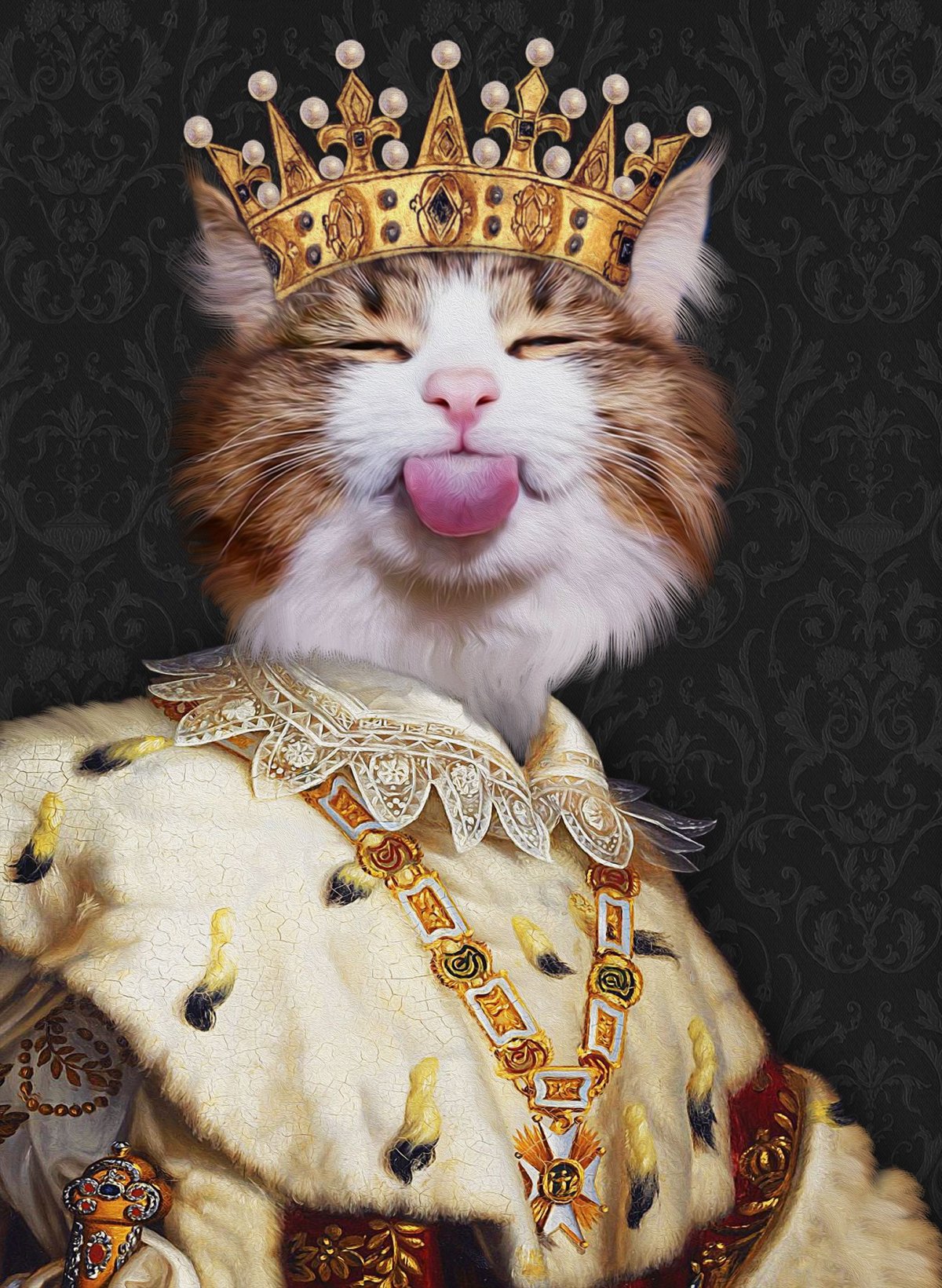 Котик с короной