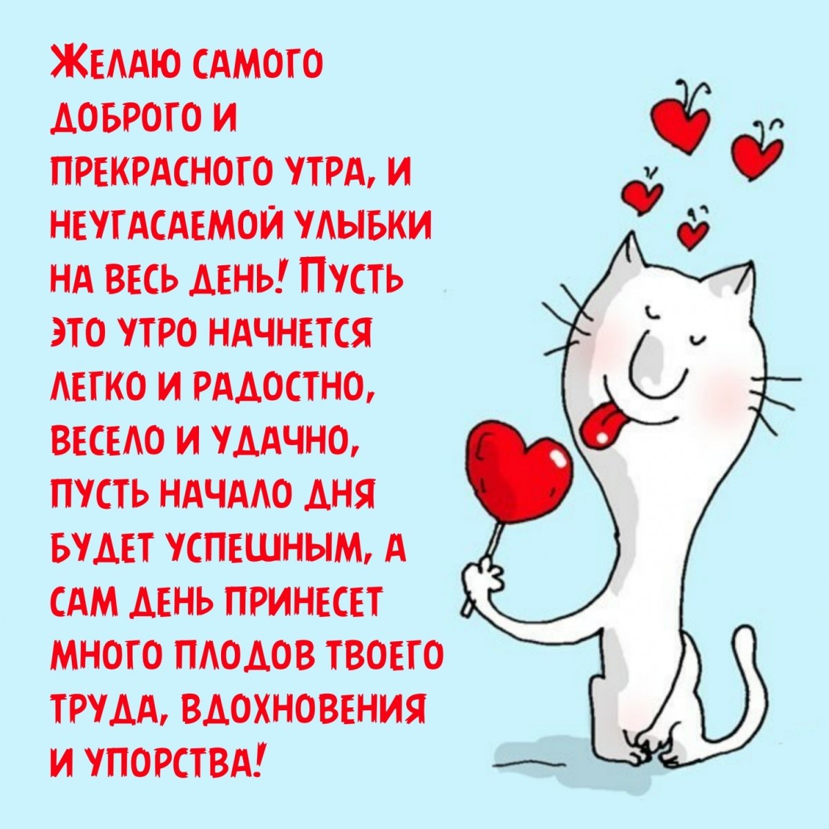 Самое смешное поздравление с добрым утром