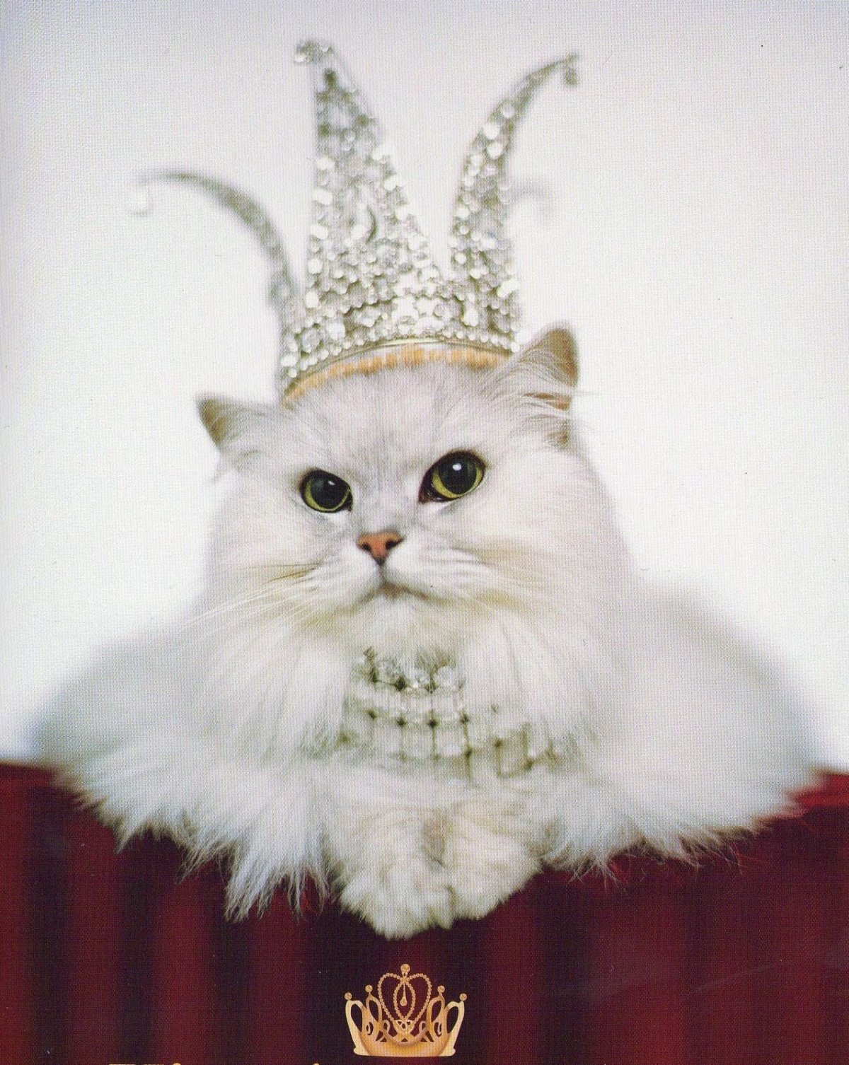 Кошка в короне